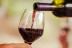 Cata de Aceite de Oliva AOVE y Vinos con el Sumiller Experto Pez Salvaje (Madrid)