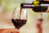 Cata de Quesos y Vino en Queso Botello (Las Palmas de Gran Canaria)