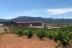 Visita a Cooperativa Vitícola de San José con Cata de Vinos para dos (Aguarón, Zaragoza)