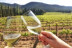 Visita a Bodega y Comida para dos en Masia Serra (Cantallops, Girona)