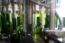Visita a Almazara y a Bodega Emina Rueda con Cata de Aceites y Vinos (Valladolid)
