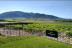 Visita a Bodega Madrid Romero con Cata de 5 Vinos y Circuito Termal para dos en Lohega Spa (Murcia)