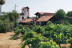 Visita a Bodegas Reverón con Cata de Vinos y Picoteo (Villaflor, Tenerife)