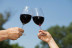 Visita a Cooperativa Agrícola de Garriguella con Cata de 4 Vinos y Maridaje de 8 Quesos (Garriguella, Girona)