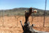Visita, Cata de Vinos y Aperitivo en l'Estanquer (Canet lo Roig, Castellón)