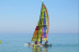 Navegación en Catamarán Hobie Cat para dos (Montgat, Barcelona)