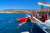 Obycat Experience: Salida en Catamarán con Comida, Bebidas y Snorkel (Fuerteventura, Las Palmas)