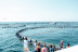 Paseo en Catamarán y Nadar entre Atunes (Ametlla de Mar, Tarragona)