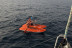 Salida Compartida en Catamarán (Marbella, Málaga)