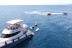 Paseo en Catamarán con Deportes Acuáticos y Aperitivo (Puerto del Carmen, Lanzarote)