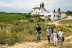 Visita a las Cavas Cellers Carol Vallès y Brunch Gourmet (Subirats, Barcelona)