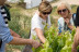 Visita a las Cavas Cellers Carol Vallès y Brunch Gourmet (Subirats, Barcelona)
