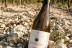Tradición, Territorio Penedès-Garraf: Ruta, Visita Guiada, Cata de Vino y Cava y Aperitivo en Caves Cuscó Berga (Les Gunyoles, Barcelona)