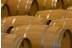 Visita a Bodega y Cata de 5 vinos con Maridaje en Bodegas Pinord (Vilafranca del Penedès, Barcelona)