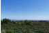 Visita Guiada a Bodega Jaume Serra con Cata de Cavas (Vilanova i la Geltrú, Barcelona)