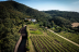 Visita Guiada al Celler Brugarol con Degustación de Vinos, Aceites y Productos B para dos en Finca Bell-Lloc (Palamós, Girona)
