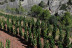 Visita al Celler Ficaria Vins con Cata de 3 Vinos para dos (La Figuera, Tarragona)