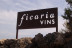 Visita al Celler Ficaria Vins con Cata de 3 Vinos para dos (La Figuera, Tarragona)