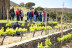 Escapada a Mas Perafita con Visita a Bodega y Cata en Celler Martín Faixó (Girona)