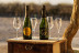 Visita a la Viña y a la Bodega con Almuerzo o Cena en Albariza de la Torre (Jerez de la Frontera, Cádiz)