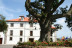 Circuito Spa y Comida o Cena Romántica para dos en Hotel Palacio de la Magdalena 4* (Soto del Barco, Asturias)