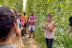 Visita a la Granja, Fábrica, Cata de Cerveza y Comida o Cena en Lo Vilot Farm Brewery (Almacelles, Lleida)