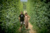 Visita a la Granja, Fábrica, Cata de Cerveza y Comida o Cena en Lo Vilot Farm Brewery (Almacelles, Lleida)