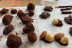 CHOCOMASTER KIDS: Taller y Cata de Chocolates para Niños y Padres (Zaragoza)