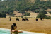 Escapada de 2 Noches con Spa, Botella de Cava y Bombones en Habitat Cigüeña Negra (Valverde del Fresno, Cáceres)