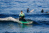 Clases de Surf (Tenerife)