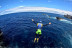 Coasteering (Tenerife)