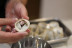 Clase de Cocina Coreana y Degustación (Donostia, Guipúzcoa)