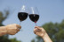 Visita a Cooperativa Agrícola de Garriguella con Cata de 4 Vinos y Tapas para dos (Garriguella, Girona)