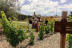 Visita a Cooperativa Agrícola de Garriguella con Cata de 4 Vinos y Tapas para dos (Garriguella, Girona)