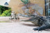 Entrada a Crocodile Park (Torremolinos, Málaga)