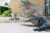 Entrada a Crocodile Park (Torremolinos, Málaga)