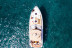 Crucero Privado con Avistamiento de Fauna Marina, Snorkel y Aperitivo para dos (Puerto Colón, Santa Cruz de Tenerife)