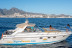 Crucero Privado con Avistamiento de Fauna Marina, Snorkel y Aperitivo para dos (Puerto Colón, Santa Cruz de Tenerife)