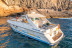 Crucero con Avistamiento de Fauna Marina, Snorkel y Aperitivo (Puerto Colón, Santa Cruz de Tenerife)