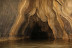 Visita a una Cueva (País Vasco)