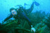 Curso de Buceo "Open Water Diver" (Málaga)