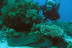 Curso de Buceo "Open Water Diver" (Málaga)