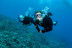 Curso de Buceo "Open Water Diver" (Málaga)