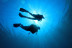 Curso de Iniciación al Buceo con Fotos y Vídeos (Vilagarcía de Arousa, Pontevedra)