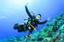 Curso de Iniciación al Buceo con Fotos y Vídeos (Vilagarcía de Arousa, Pontevedra)