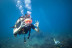 Curso de Iniciación al Buceo con Fotos y Vídeos (Vilagarcía de Arousa, Pontevedra)