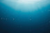 Curso de Iniciación al Buceo con Fotos y Vídeos (Vilagarcía de Arousa, Pontevedra)