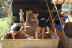 Curso de Escultura de Arena para dos (Ulldecona, Tarragona)