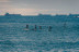 Curso de Paddle Surf (Barcelona)