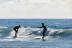 Curso de Surf o Windsurf con Fotos y Vídeos en el Paraje Natural de Punta Entinas (Almerimar, Almería)